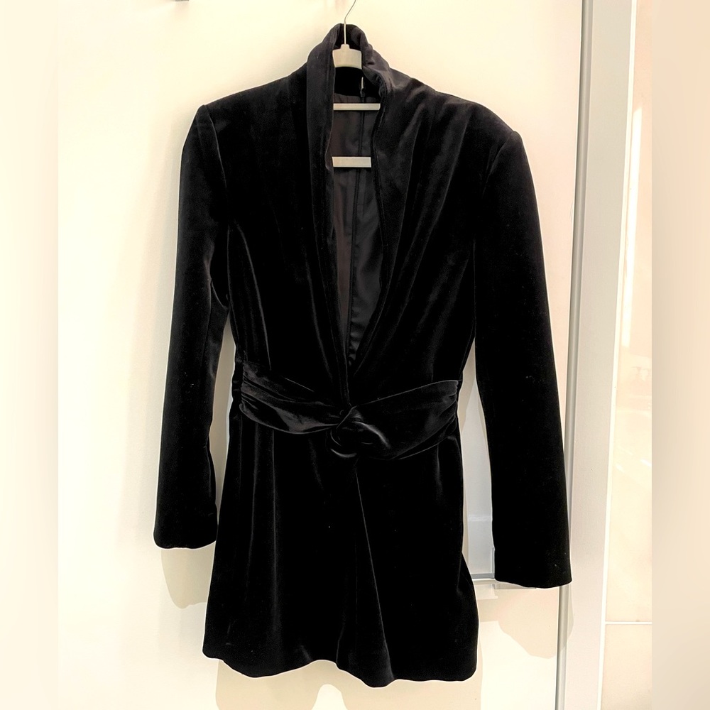 NWT Zara Velvet Dress